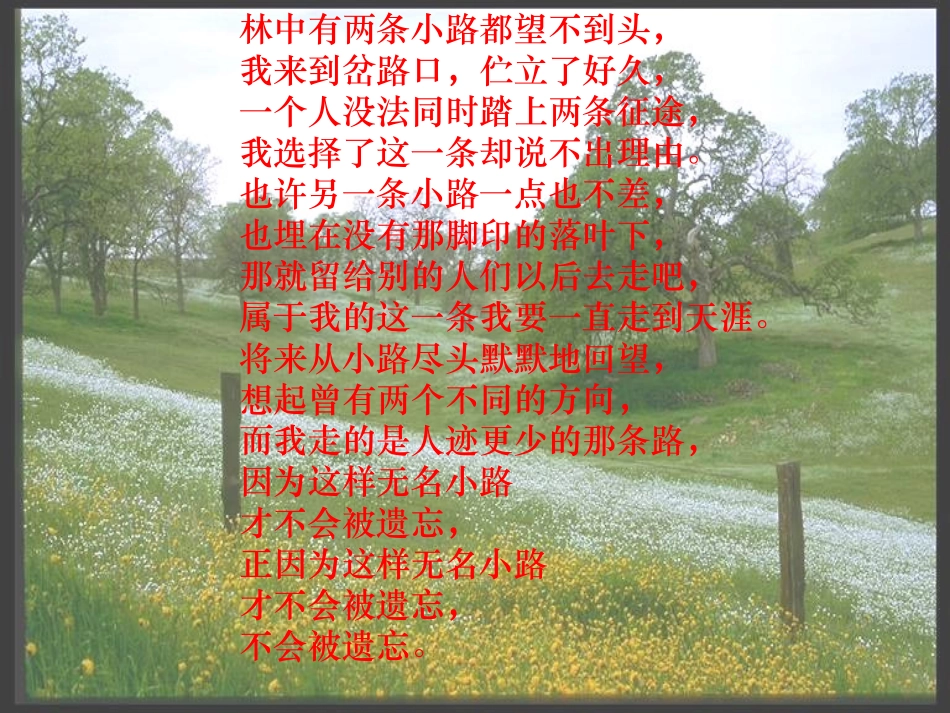林中有两条小路都望不到头_第1页