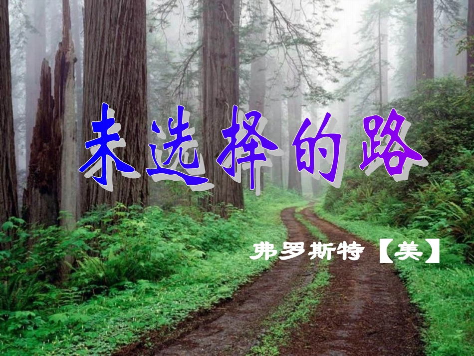 林中有两条小路都望不到头_第2页