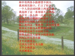 林中有两条小路都望不到头