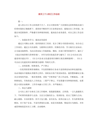 新员工个人转正工作总结