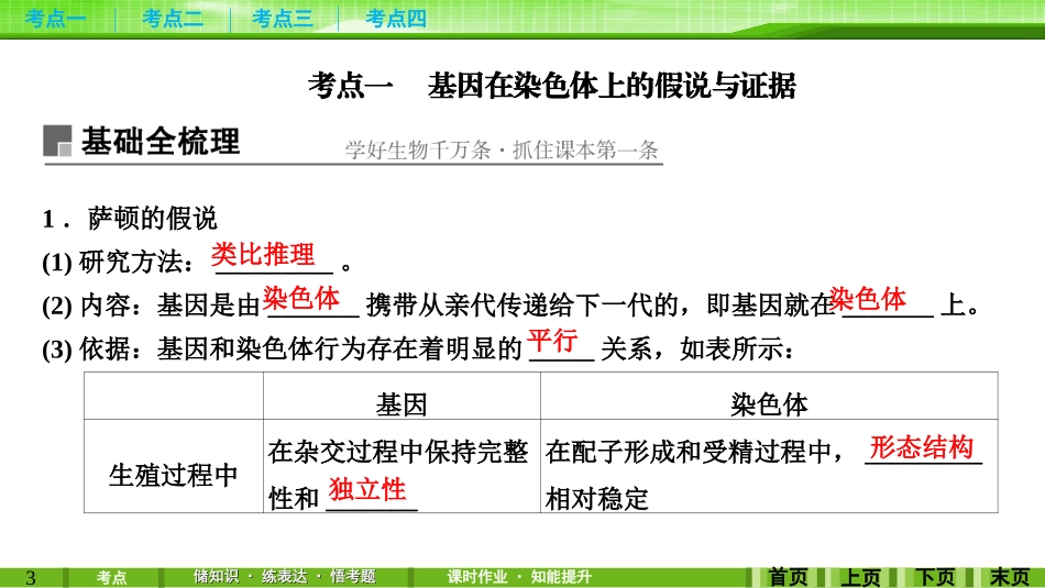第16讲基因在染色体上与伴性遗传(含人类遗传病) (2)_第3页
