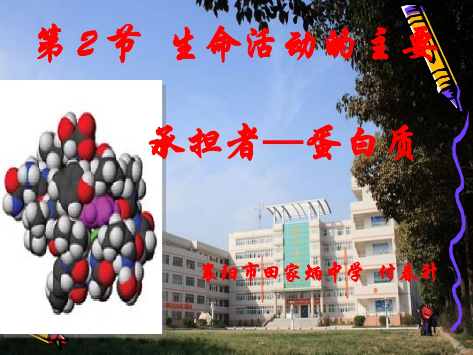 -生命活动的主要承担者—蛋白质课件_第1页