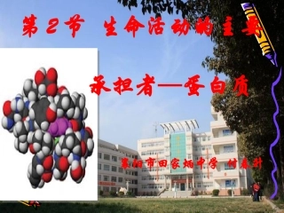 -生命活动的主要承担者—蛋白质课件