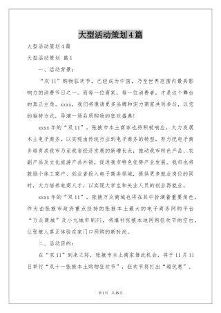 大型活动策划4篇