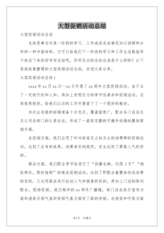 大型促销活动参考总结