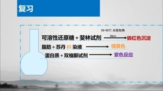 细胞中的无机物(共张PPT)