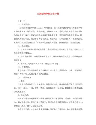 大班幼师学期工作计划 