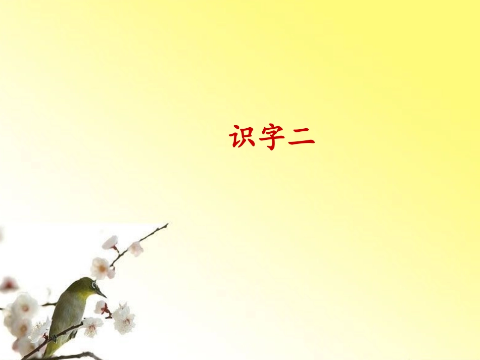《识字二》课件_第1页