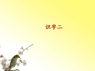 《识字二》课件