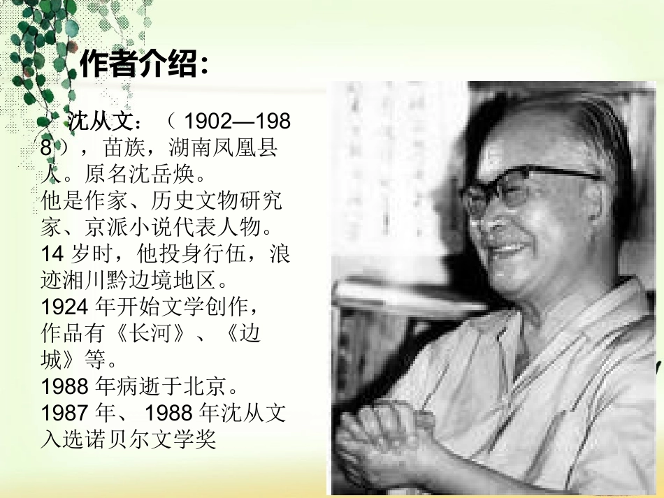 边城PPT ()_第2页