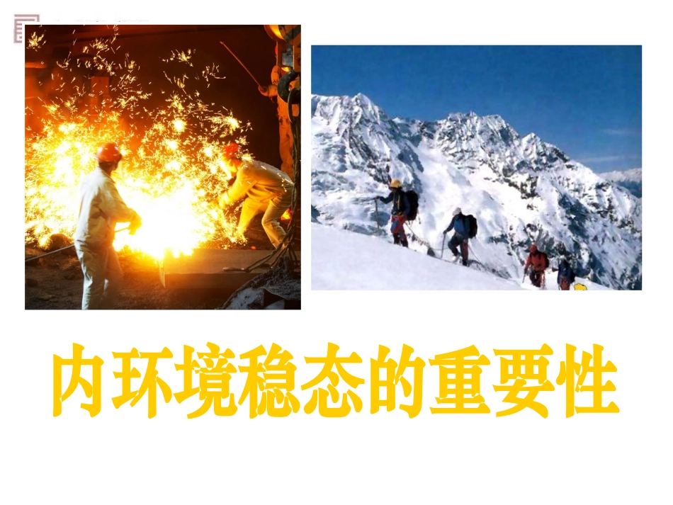 必修三第1章人体的内环境与稳态第2节内环境稳态的重要性_第1页