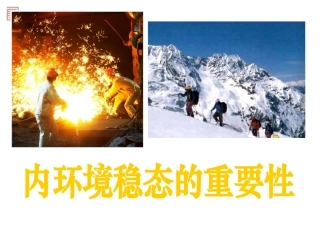 必修三第1章人体的内环境与稳态第2节内环境稳态的重要性