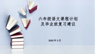 2020六年级毕业班复习