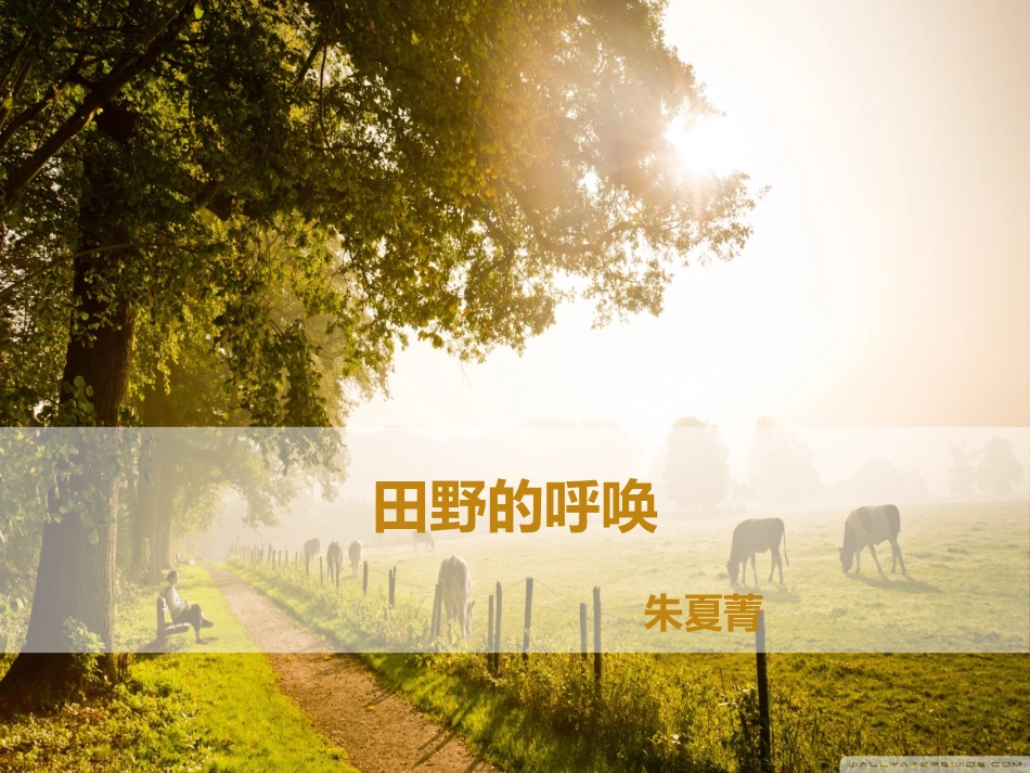 四上《10田野的呼唤》课件_第1页