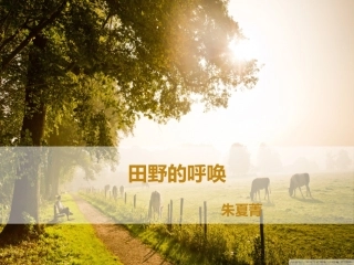 四上《10田野的呼唤》课件