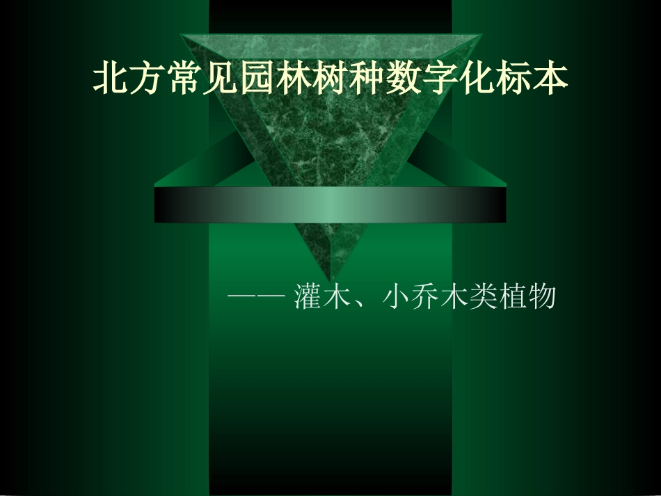 北方常见园林树木灌木类、小乔木类标本_第1页