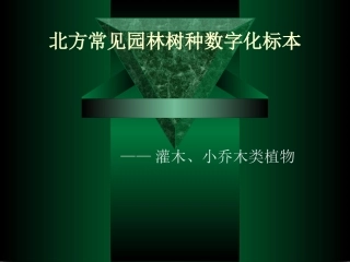 北方常见园林树木灌木类、小乔木类标本