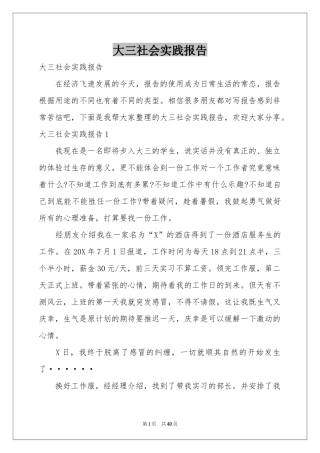 大三社会实践报告