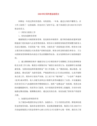 审计局年度总结范文