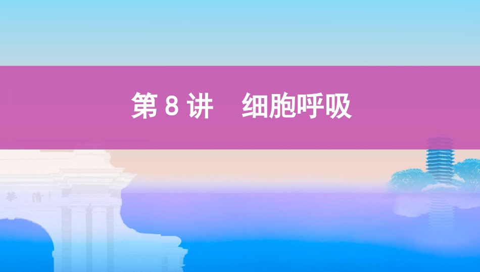 第8讲　细胞呼吸_第1页