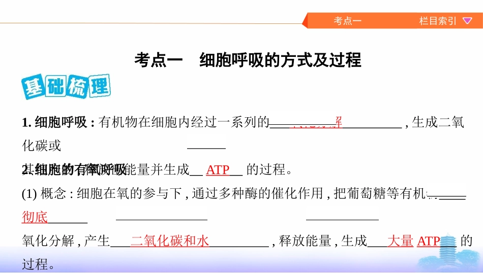 第8讲　细胞呼吸_第2页