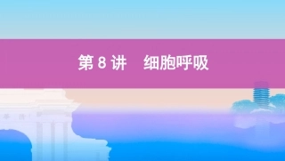 第8讲　细胞呼吸