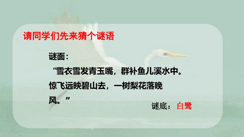 -白鹭-第一课时 ()_第1页