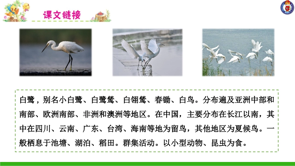 -白鹭-第一课时 ()_第2页