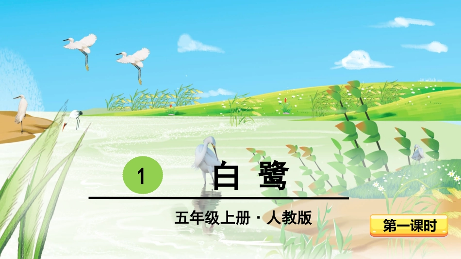 -白鹭-第一课时 ()_第3页