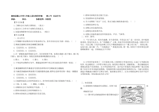 第三节社会行为