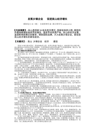发展乡镇企业促进崀山经济增长胡立伟