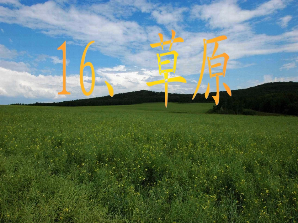 苏教版小学语文六年级上册《草原》上课_第1页