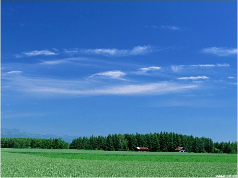 苏教版小学语文六年级上册《草原》上课_第3页