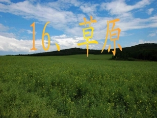 苏教版小学语文六年级上册《草原》上课