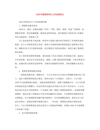 2020年度财务审计工作总结范文