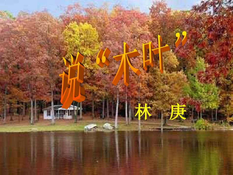 《说木叶》最终版课件_第1页