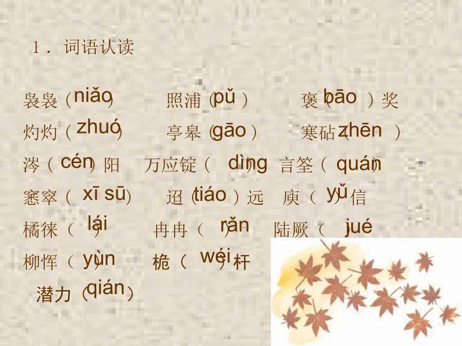 《说木叶》最终版课件_第3页