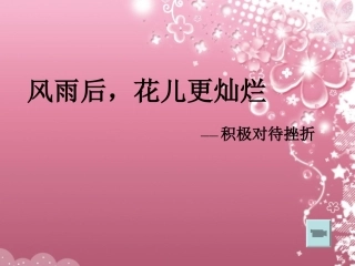 风雨后-花儿更灿烂