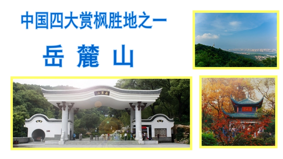 —幼儿园环境创设中的幼儿学习与发展_第3页