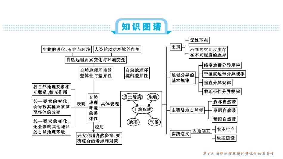 新考案第六单元总结_第2页