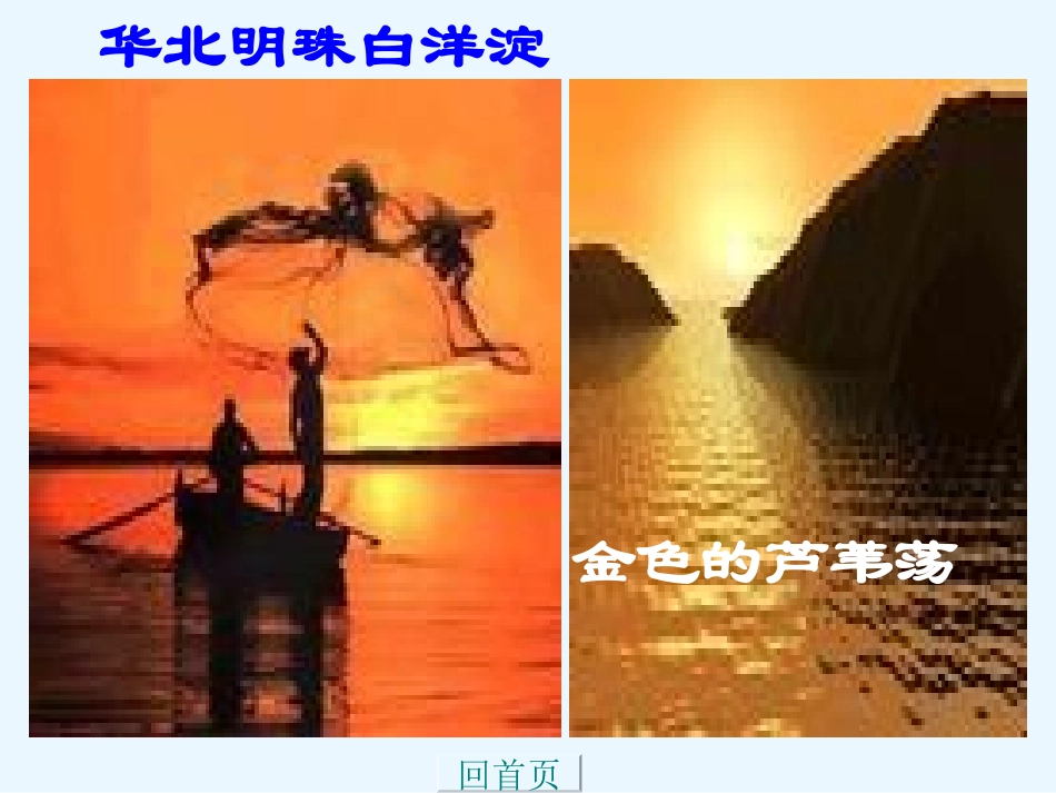人教新课标版初中八上《芦花荡》课件_第2页