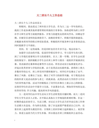 大二班长个人工作总结 