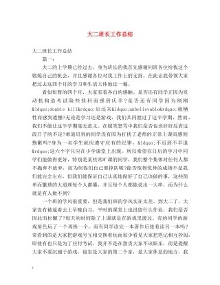 大二班长工作总结 