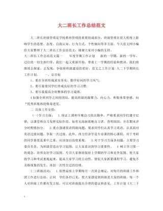 大二班长工作总结范文 