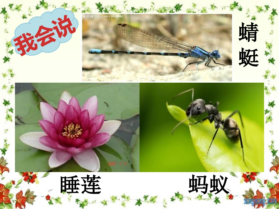 夏夜多美（上）_第3页