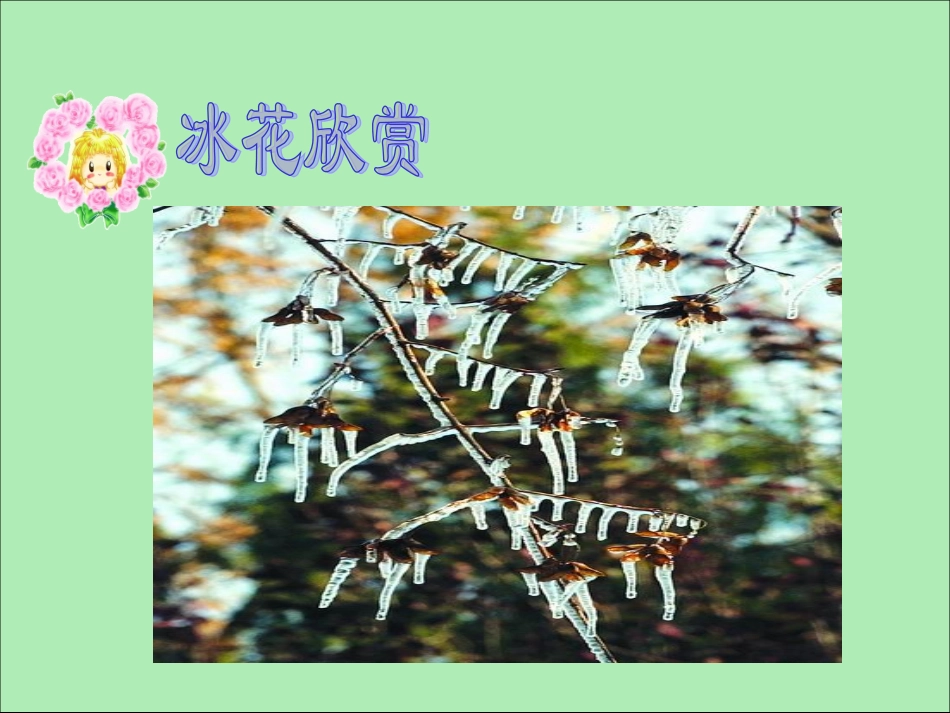 苏教版一年级上册10《冰花》课件_第2页