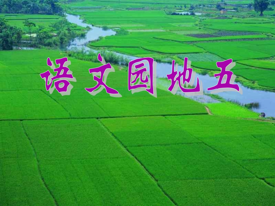《语文园地五》PPT课件_第1页