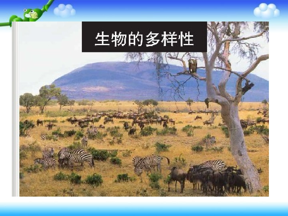 、校园生物大搜索_第2页