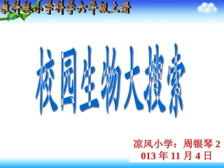 、校园生物大搜索