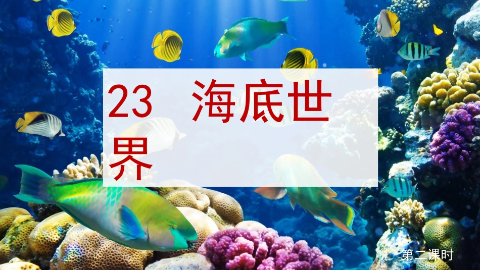 _海底世界演示文稿_第1页